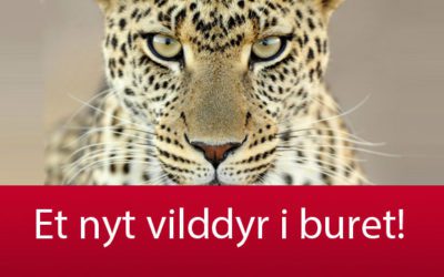 Vi har fået et nyt vilddyr i buret!